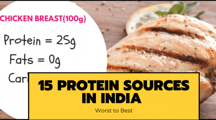15-protein-sources-in-india
