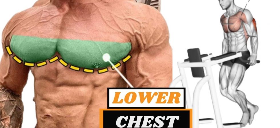 5 Best Exercises For Lower Chest Muscle Mass Enhancers