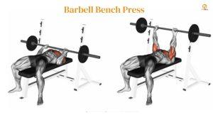 Barbell Bench Press - 8 Best Chest Workout For Men 
