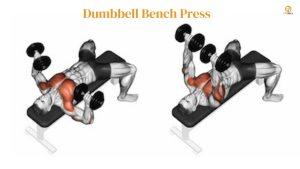 Dumbbell Bench Press - 8 Best Chest Workout For Men 