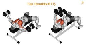 Flat Dumbbell Fly - 8 Best Chest Workout For Men 
