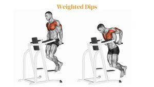 Weighted Dips - 8 Best Chest Workout For Men 