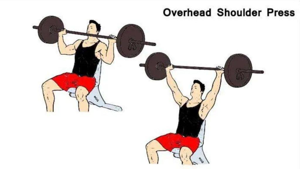 overhead shoulder press - 5 Most Effective Shoulder Exercises Build Muscle