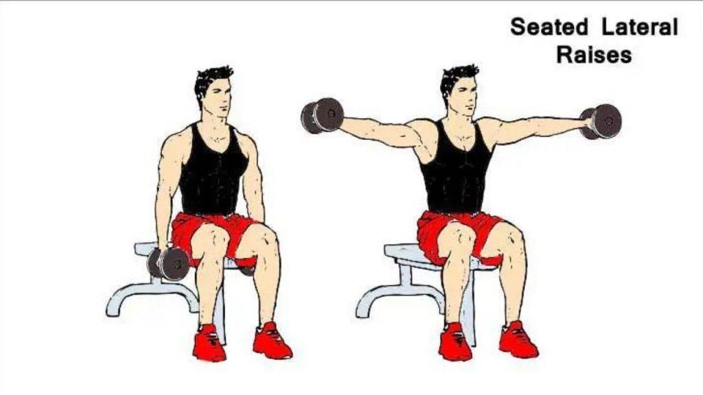 Side Lateral Raises