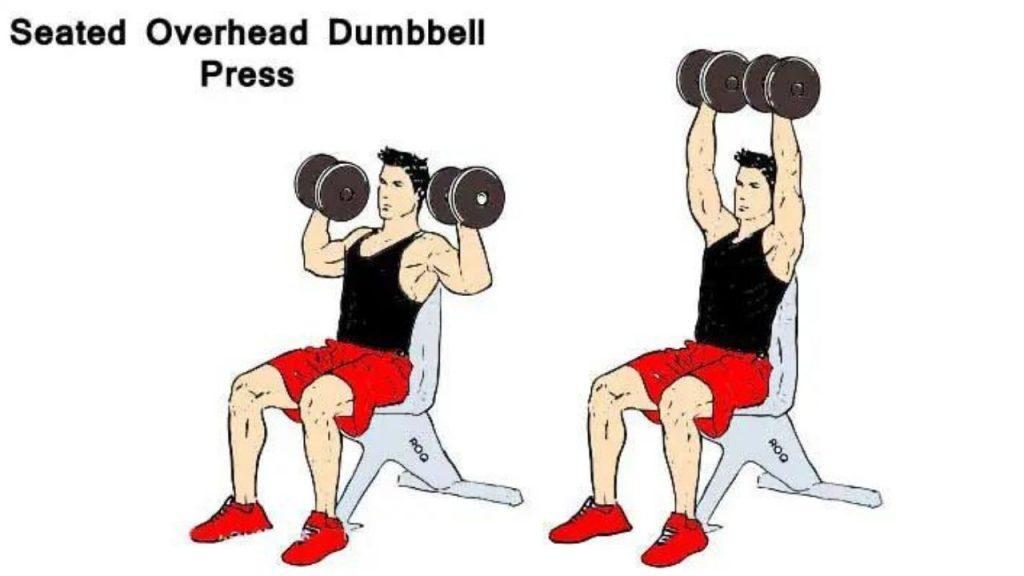 Seated Overhead Dumbbell Press