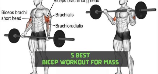 5 Best Bicep Workout for Mass