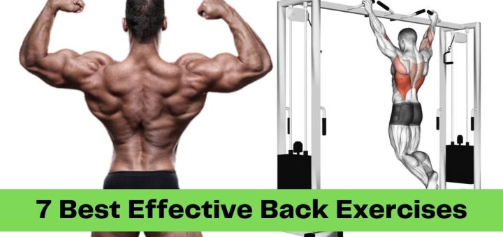 7 Best Effective Back Exercises for Bigger Back